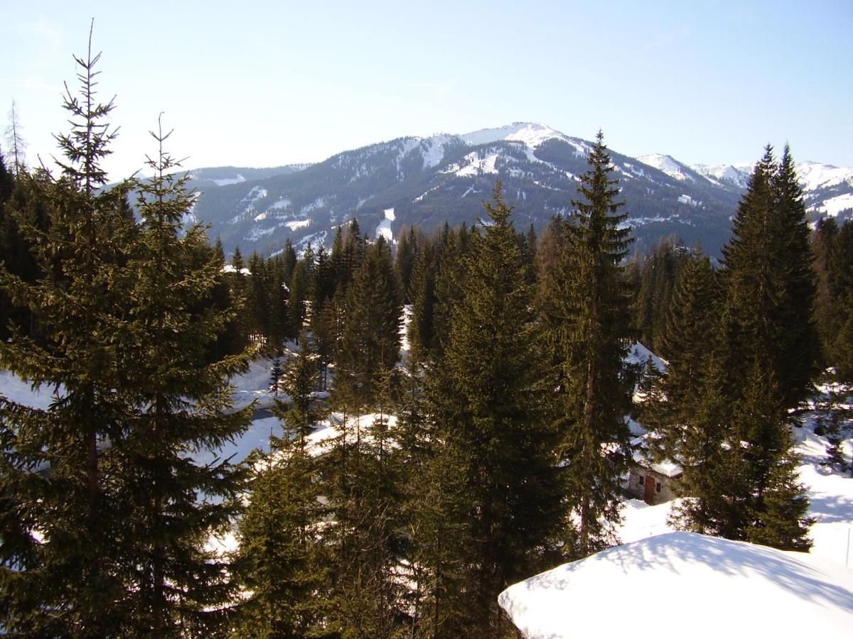 Appartementhaus Hochkoenig 1- Birgkar Mühlbach am Hochkönig Εξωτερικό φωτογραφία