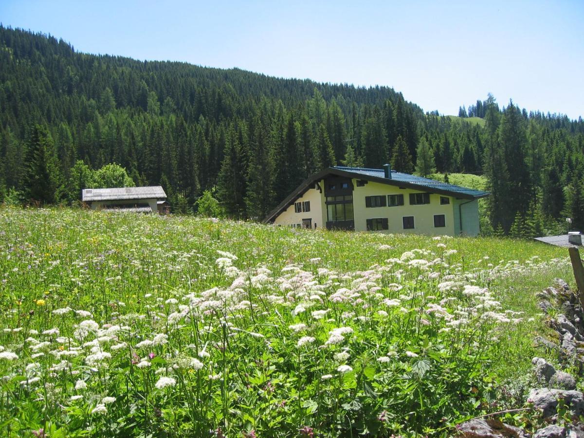 Appartementhaus Hochkoenig 1- Birgkar Mühlbach am Hochkönig Εξωτερικό φωτογραφία