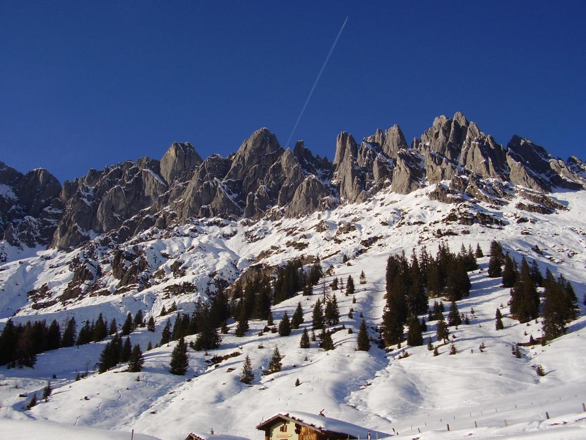 Appartementhaus Hochkoenig 1- Birgkar Mühlbach am Hochkönig Εξωτερικό φωτογραφία